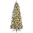 National Tree 2m (6.5ft) Frosted Calgary Pine Pre Lit Artificial Christmas Tree (CAG8-304LB-65) Alternative Image