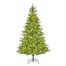National Tree 2m (6.5ft) Hartford Fir Pre Lit Artificial Christmas Tree (PEHRT-307LB-65) Alternative Image
