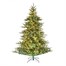 National Tree 2m (6.5ft) Jamestown Fir Pre Lit Artificial Christmas Tree (PEJT-307DB-65) Alternative Image