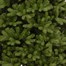 National Tree 2m (6.5ft) Newberry Spruce Artificial Christmas Tree (PEND2-500-65) Alternative Image