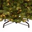 National Tree 2m (6.5ft) Prelit Slim Newberry Spruce (PEND2-304LB-65) Alternative Image