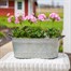 Panacea 16 Inch Oval Washtub Planter- Aged Galvanized (83252)Alternative Image1