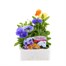 Pansy F1 Clarity 6 Pack Boxed Bedding Alternative Image