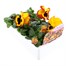 Pansy F1 Fire Surprise 6 Pack Boxed Bedding Alternative Image