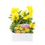 Pansy F1 Golden Yellow 6 Pack Boxed BeddingAlternative Image1