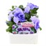 Pansy F1 Light Blue 6 Pack Boxed Bedding Alternative Image