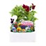 Pansy F1 Mixed 6 Pack Boxed BeddingAlternative Image1