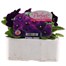 Pansy F1 Violet 6 Pack Boxed Bedding Alternative Image