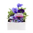Pansy F1 Rhythm and Blues 6 Pack Boxed Bedding Alternative Image