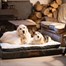 Petface Ultimate Luxury Memory Foam Pet Bed X-Large (16141) Alternative Image