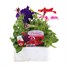 Petunia Grandiflora F1 Mixed 6 Pack Boxed BeddingAlternative Image1