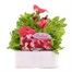 Petunia Grandiflora Salmon 6 Pack Boxed BeddingAlternative Image1