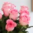 Pink Rose Letter Box FlowersAlternative Image1