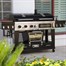 Pitboss Memphis Combination BBQ Grill (10617) + FREE COVER & REGULATOR KITAlternative Image3