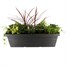 Planted Estate Window Box 30 Inches Outdoor Bedding Container SummerAlternative Image1
