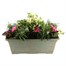 Planted Laurel Window Box 15 Inches Outdoor Bedding Container SummerAlternative Image1