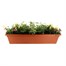 Planted Leonardo Trough 30 Inches Outdoor Bedding Container - SummerAlternative Image1