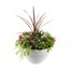 Planted Pebbledash Pot 40cm Outdoor Bedding Container SummerAlternative Image1