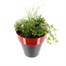 Planted Sterling Round 12 inches Outdoor Bedding Container - SummerAlternative Image1
