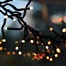 Portland Fir 1000 RGB Smart App Controlled LED Cluster Christmas String Lights (LIT005) Alternative Image