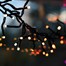 Portland Fir 1500 RGB Smart App Controlled LED Cluster Christmas String Lights (LIT006) Alternative Image