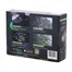 Portland Fir 400 RGB Smart App Controlled LED Christmas String Lights (LIT2) Alternative Image