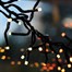 Portland Fir 500 RGB Smart App Controlled LED Cluster Christmas String Lights (LIT4) Alternative Image