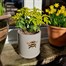 Pot Mate Discreet Plant Pot Feet - 200mm (P200)Alternative Image5