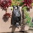 Potty Feet Decorative Pot Buddies - Antique Bronze Bat (PB0001)Alternative Image1