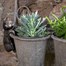 Potty Feet Decorative Pot Buddies - Antique Bronze Cat (PB0002)Alternative Image1