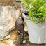 Potty Feet Decorative Pot Buddies - Antique Bronze Mouse (PB0028)Alternative Image1