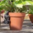 Potty Feet Decorative Pot Buddies - Antique Bronze Red Squirrel (PB0009)Alternative Image2