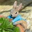 Potty Feet Decorative Pot Buddies - Beatrix Potter Peter Rabbit Climbing In To Pot (PBBP0010C)  Alternative Image
