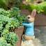 Potty Feet Decorative Pot Buddies - Beatrix Potter Peter Rabbit Climbing Pot (PBBP0009C)Alternative Image2