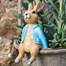 Potty Feet Decorative Pot Buddies - Beatrix Potter Peter Rabbit Sitting On Pot (BBP0001C)Alternative Image1