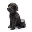 Potty Feet Decorative Pot Feet - Antique Bronze CockaPoo - Set of 3 (PF0088) Alternative Image