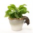 Potty Feet Decorative Pot Feet -  Antique Bronze Ring Tailed Lemur & Pup (PB0015) Alternative Image