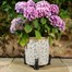 Potty Feet Decorative Pot Feet -  Antique Bronze Sitting Cat (PF0033) Alternative Image