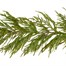 Premier 1.8m (6ft) Natural Touch Artificial Christmas Garland (TG257309) Alternative Image
