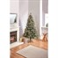 Premier 2.1m (7ft) Pre Lit New Jersey Artificial Christmas Tree With 240 Warm White LEDs (TR700NJL) Alternative Image
