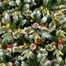 Premier 2.1m (7ft) Pre Lit New Jersey Artificial Christmas Tree With 240 Warm White LEDs (TR700NJL) Alternative Image