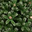 Premier 2.1m (7ft) Rocky Mountain Pine Artificial Christmas Tree (TR700RMP) Alternative Image