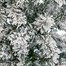 Premier 2.4m (8ft) Flocked Artificial Christmas Tree Arch (TR800ETAF) Alternative Image