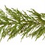 Premier 2.7m (9ft) Natural Touch Artificial Christmas Garland (TG257310) Alternative Image