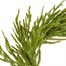 Premier 40cm Natural Touch Artificial Christmas Wreath (TW257311) Alternative Image