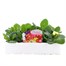 Primrose 15 Pack Boxed Bedding Alternative Image