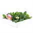 Primrose 15 Pack Boxed Bedding Alternative Image