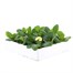 Primrose 15 Pack Boxed Bedding Alternative Image