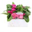 Primrose Raesbury Rose Super 6 Pack Boxed Bedding Alternative Image