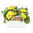 Primrose Rambo Yellow Super 6 Pack Boxed Bedding Alternative Image